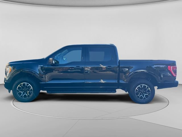 Used 2022 Ford F150 XLT w/ Equipment Group 302A High AWD/4WD image 2