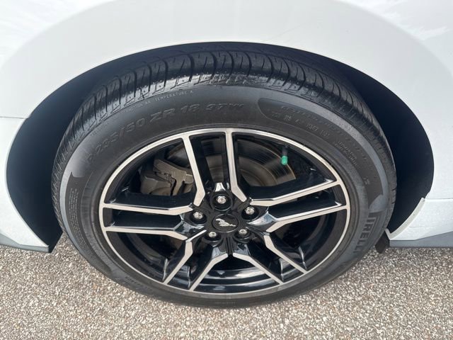Used 2019 Ford Mustang GT Premium RWD image 14