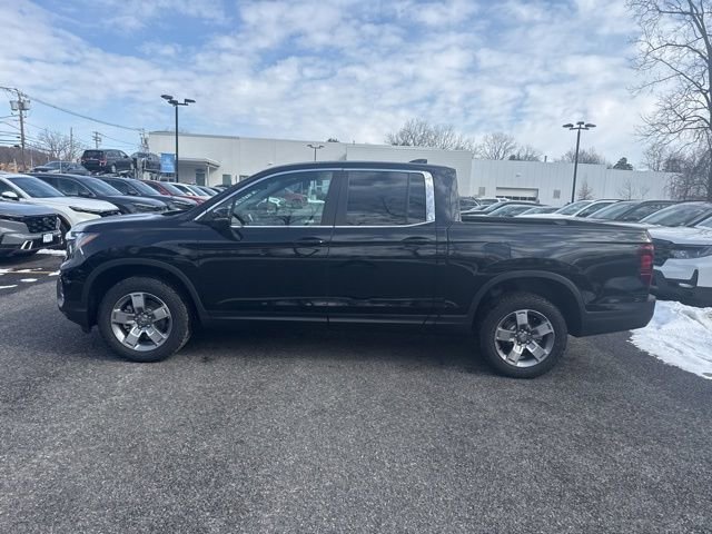 New 2026 Honda Ridgeline RTL image 6