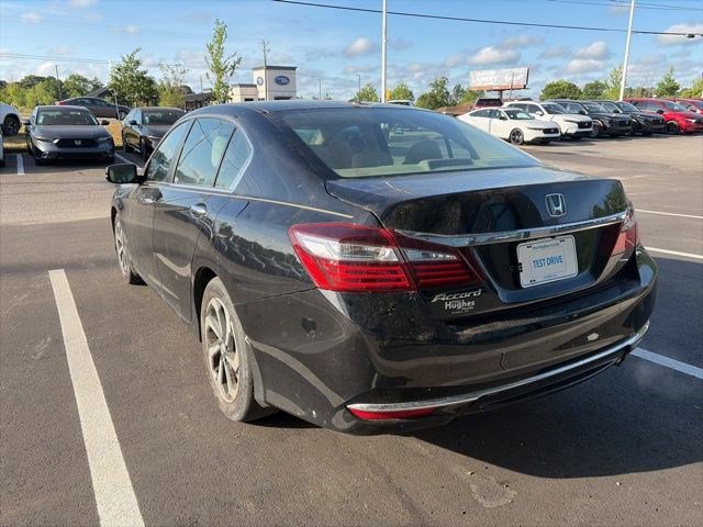 Used 2017 Honda Accord EX-L image 4