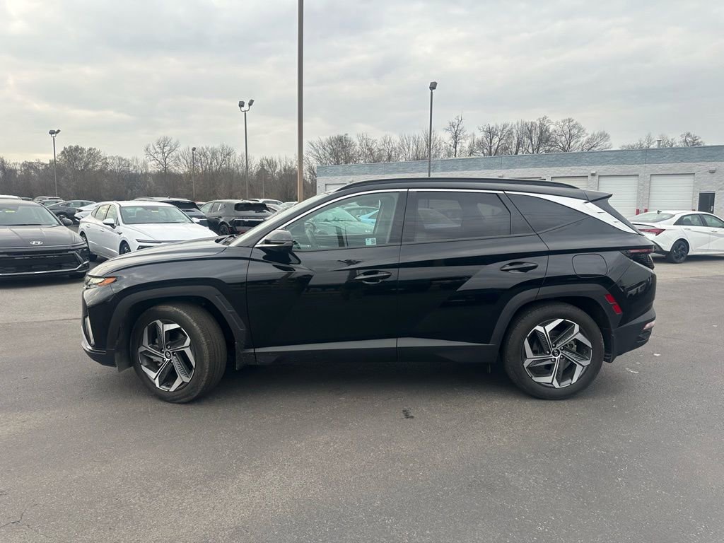 Used 2024 Hyundai Tucson Limited image 12