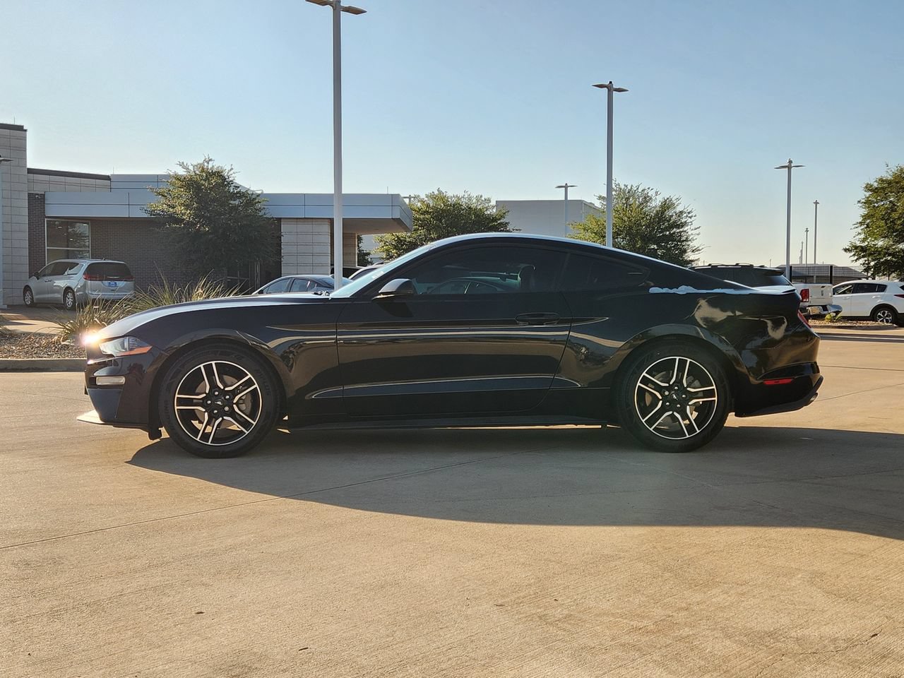 Used 2020 Ford Mustang Premium RWD image 4