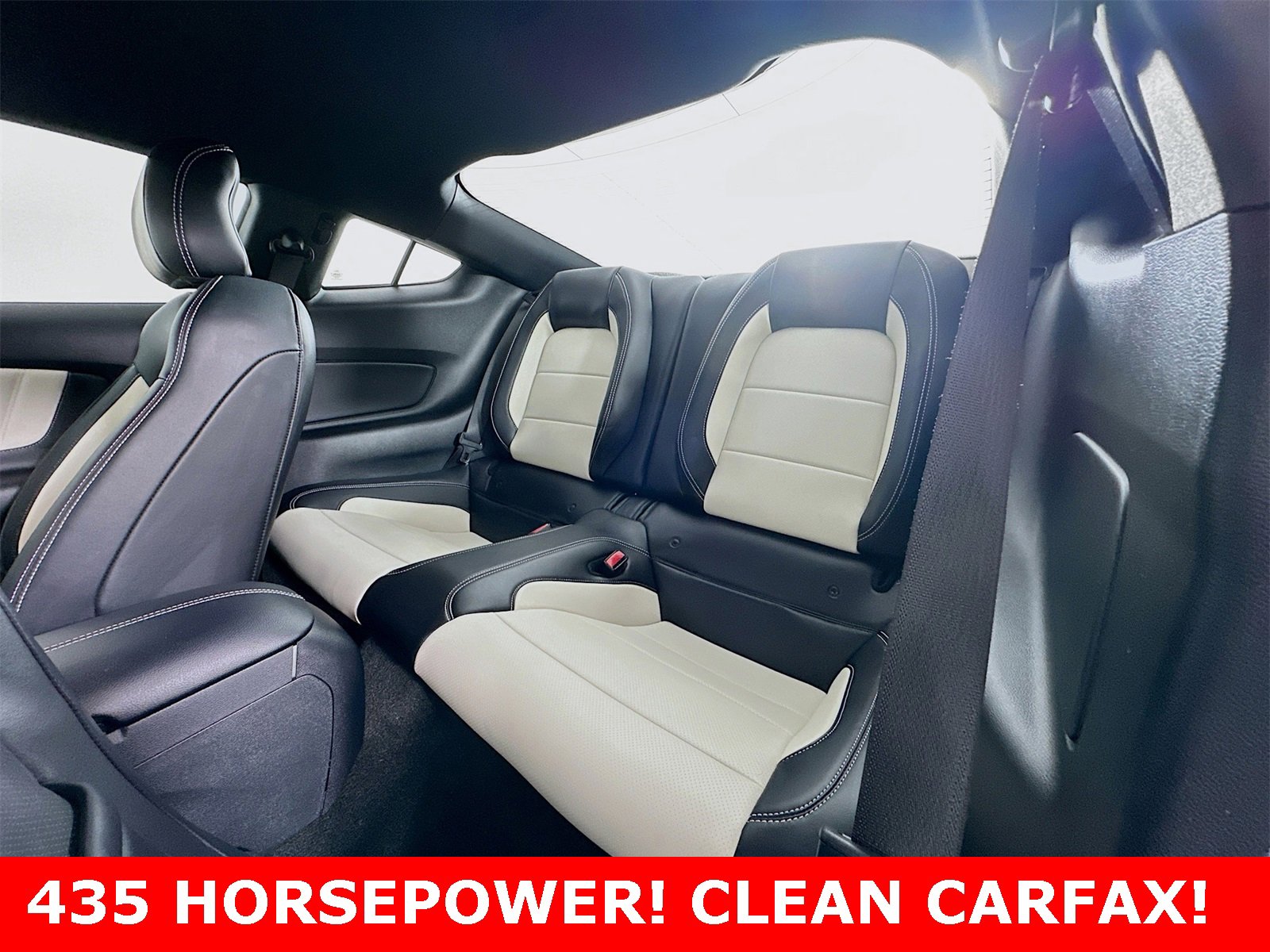 Used 2015 Ford Mustang 50 Years image 11