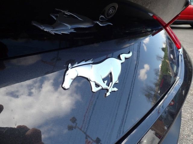 Used 2024 Ford Mustang Premium image 7
