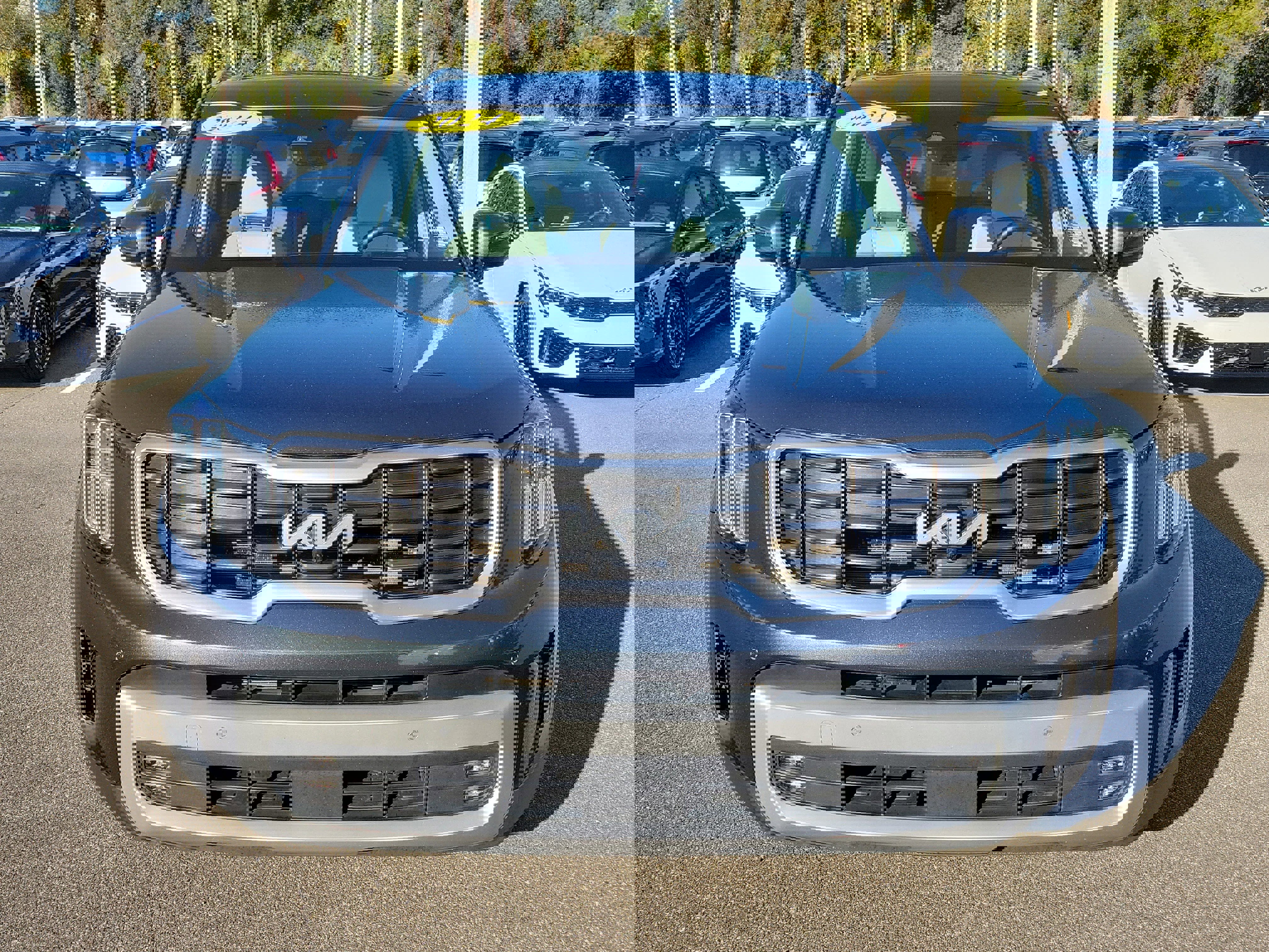 Used 2024 Kia Telluride SX Prestige image 2