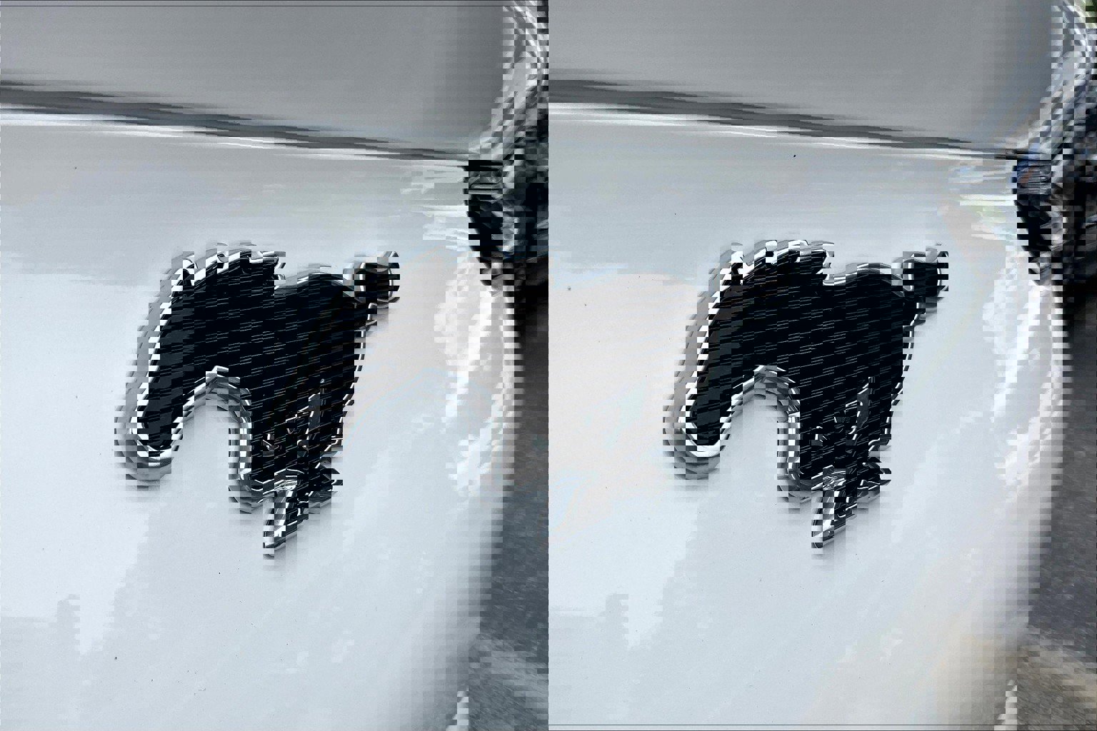 New 2025 Ford Mustang Mach-E Premium image 23