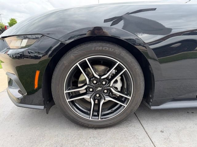 Used 2024 Ford Mustang Premium image 4