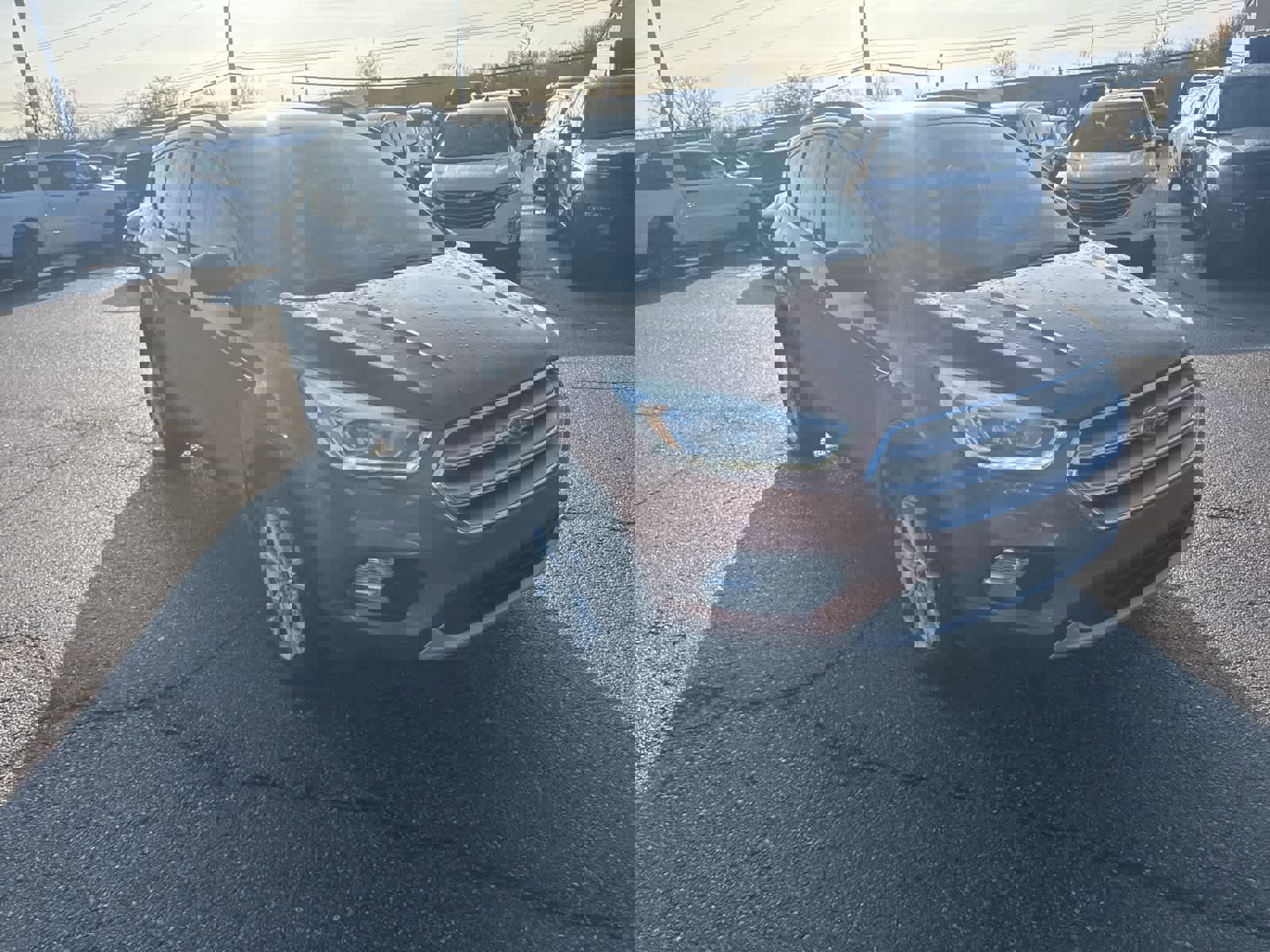 Used 2017 Ford Escape SE w/ Equipment Group 201A image 7