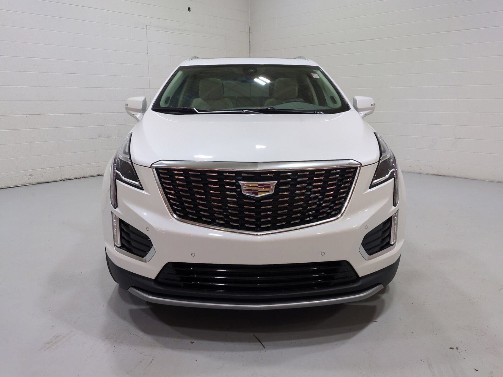 Used 2023 Cadillac XT5 Premium Luxury AWD/4WD image 8