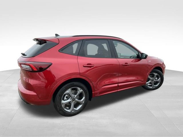 Used 2024 Ford Escape ST-Line w/ Tech Pack #1 image 6