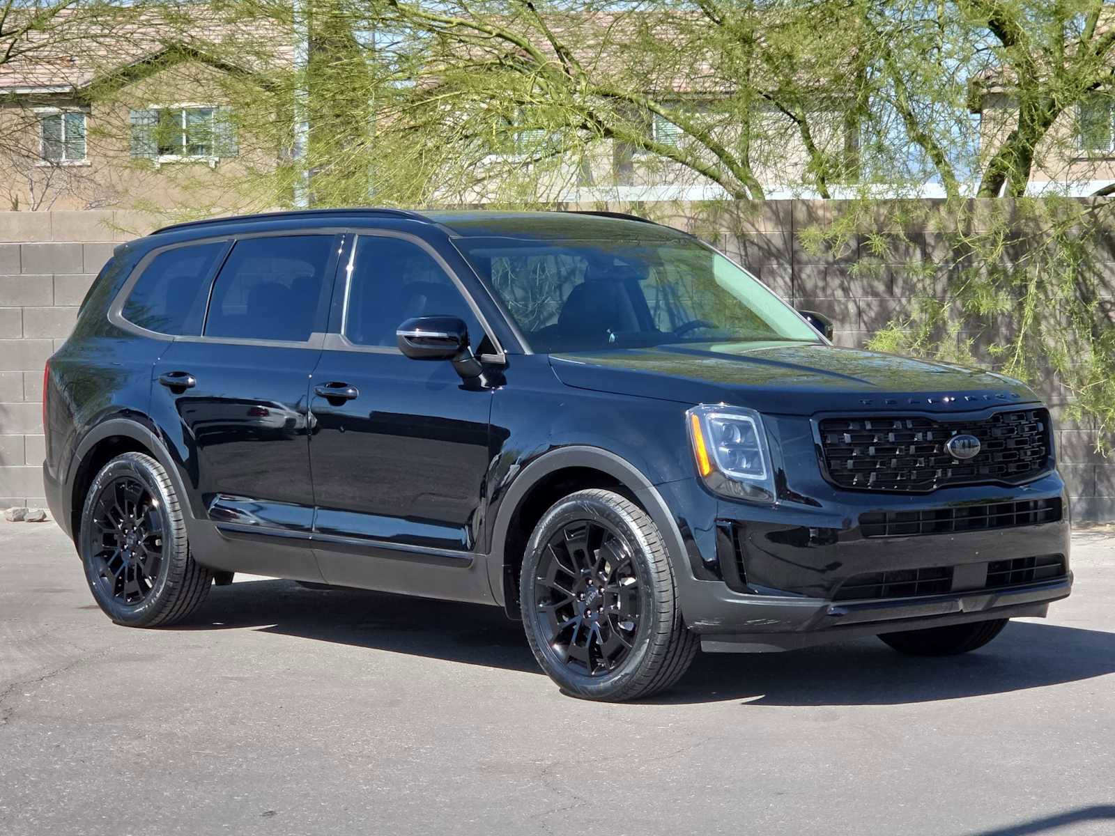 Used 2021 Kia Telluride EX w/ EX Premium Package image 3