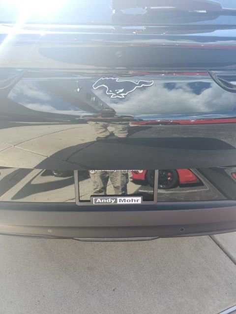 New 2025 Ford Mustang Mach-E Premium w/ Sport Appearance Package image 12