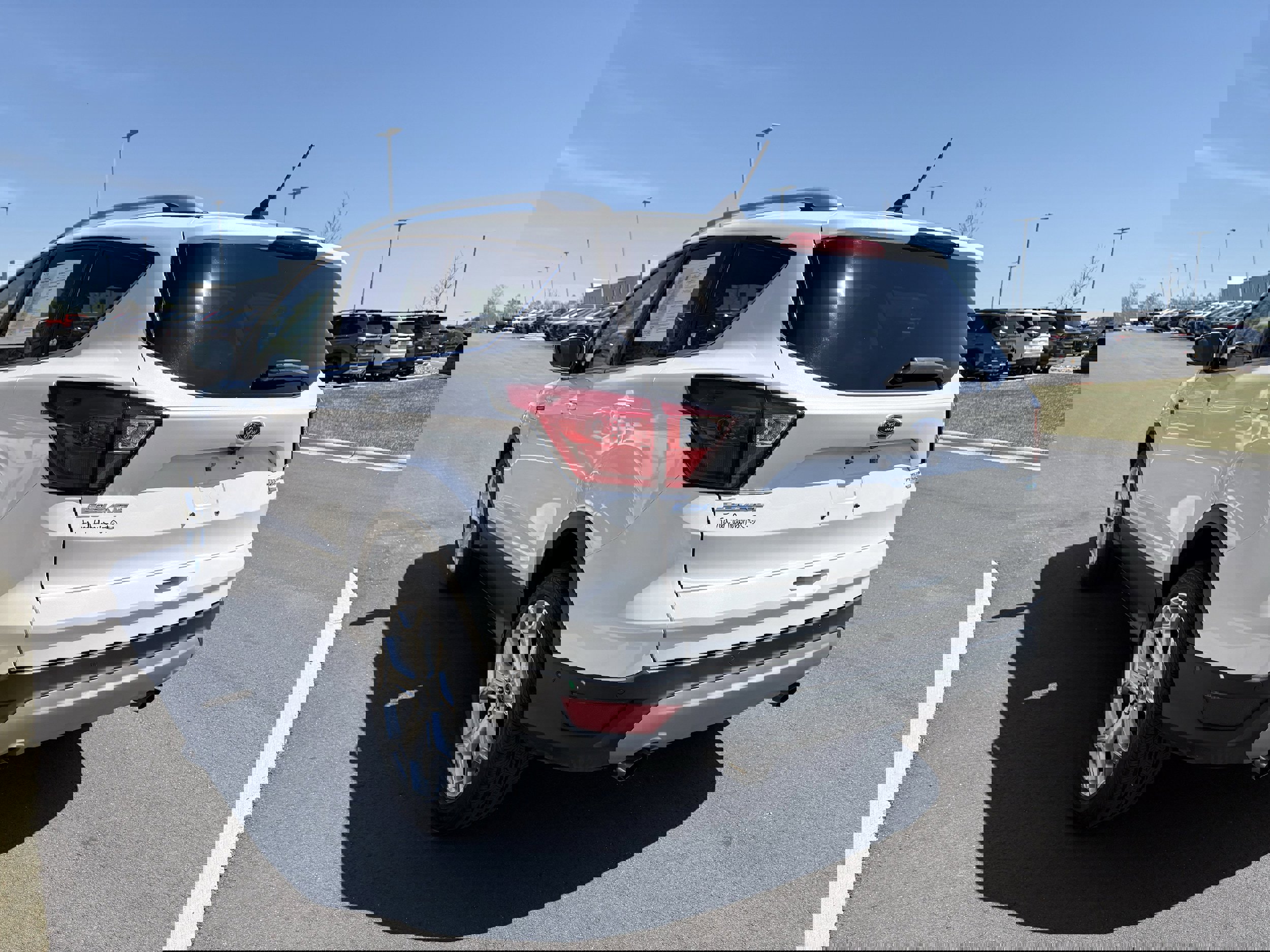 Used 2019 Ford Escape Titanium image 3