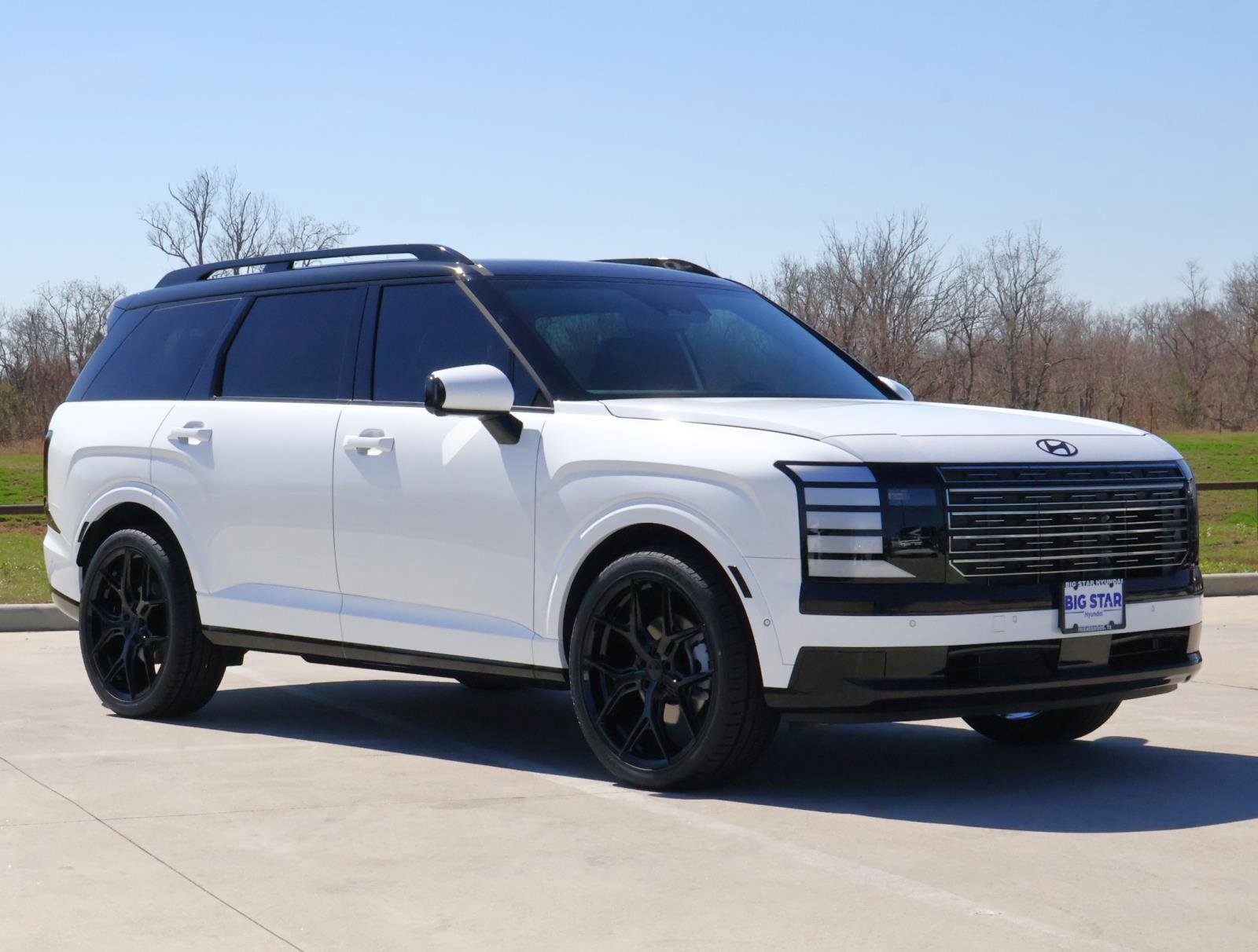 New 2026 Hyundai Palisade Calligraphy image 6