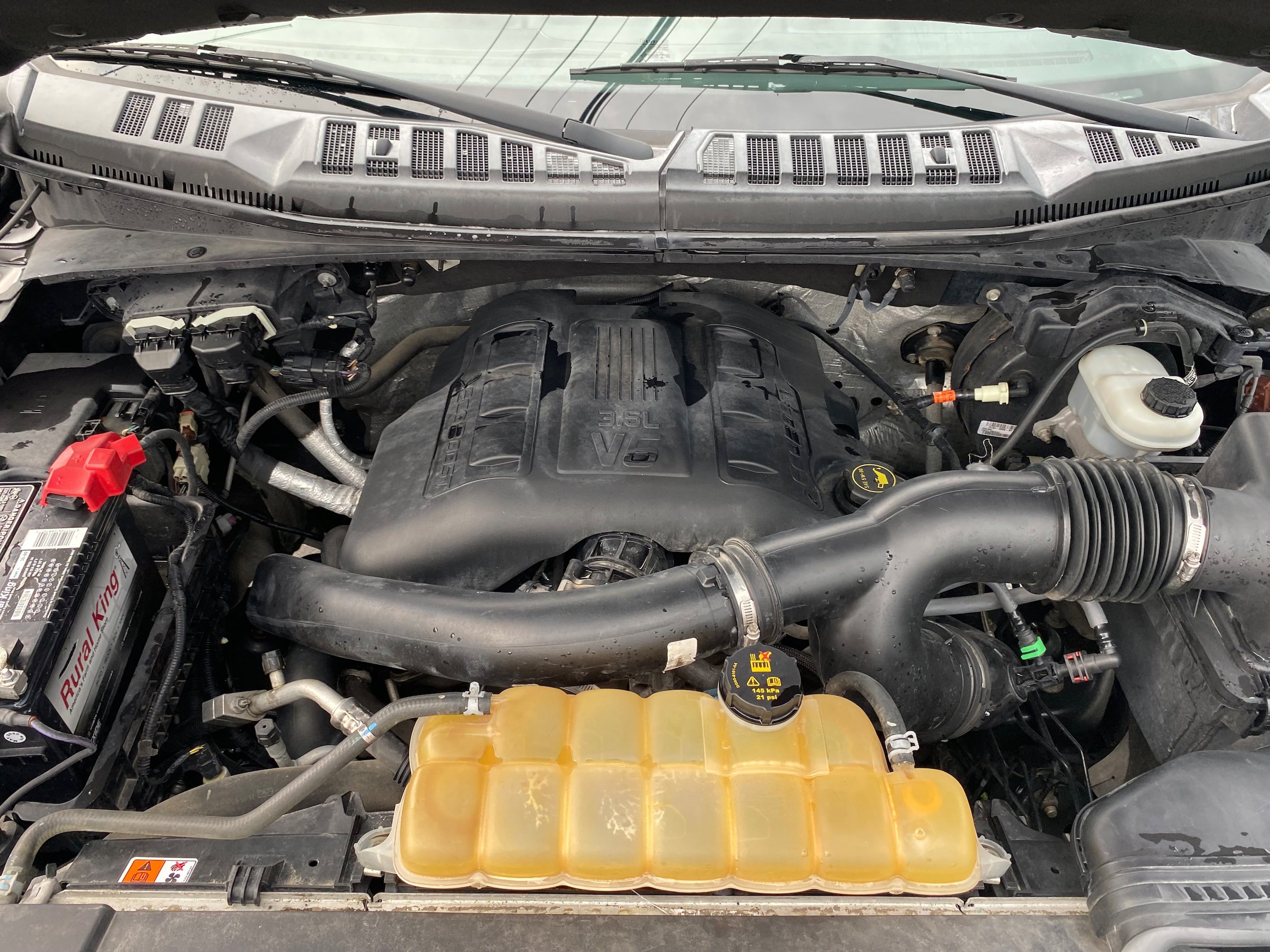 Used 2016 Ford F150 XLT w/ Equipment Group 301A Mid AWD/4WD image 19