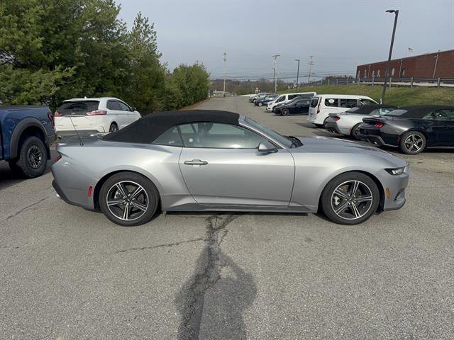 Used 2024 Ford Mustang Premium image 4