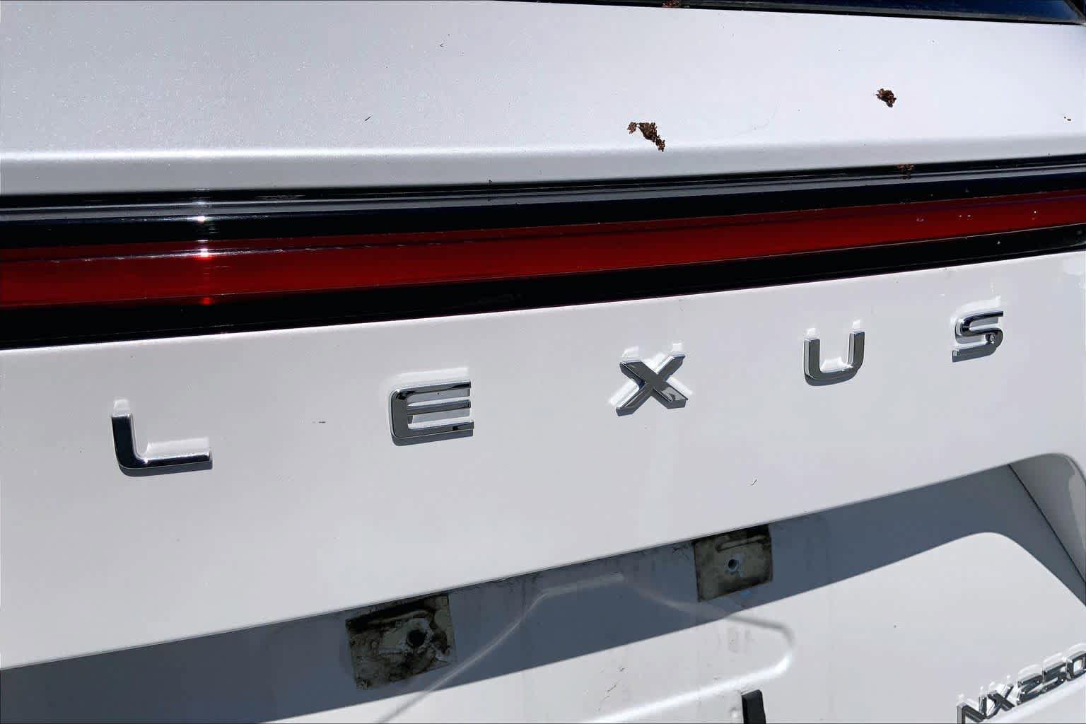 Used 2024 Lexus NX 250 FWD w/ Cold Area Package image 31