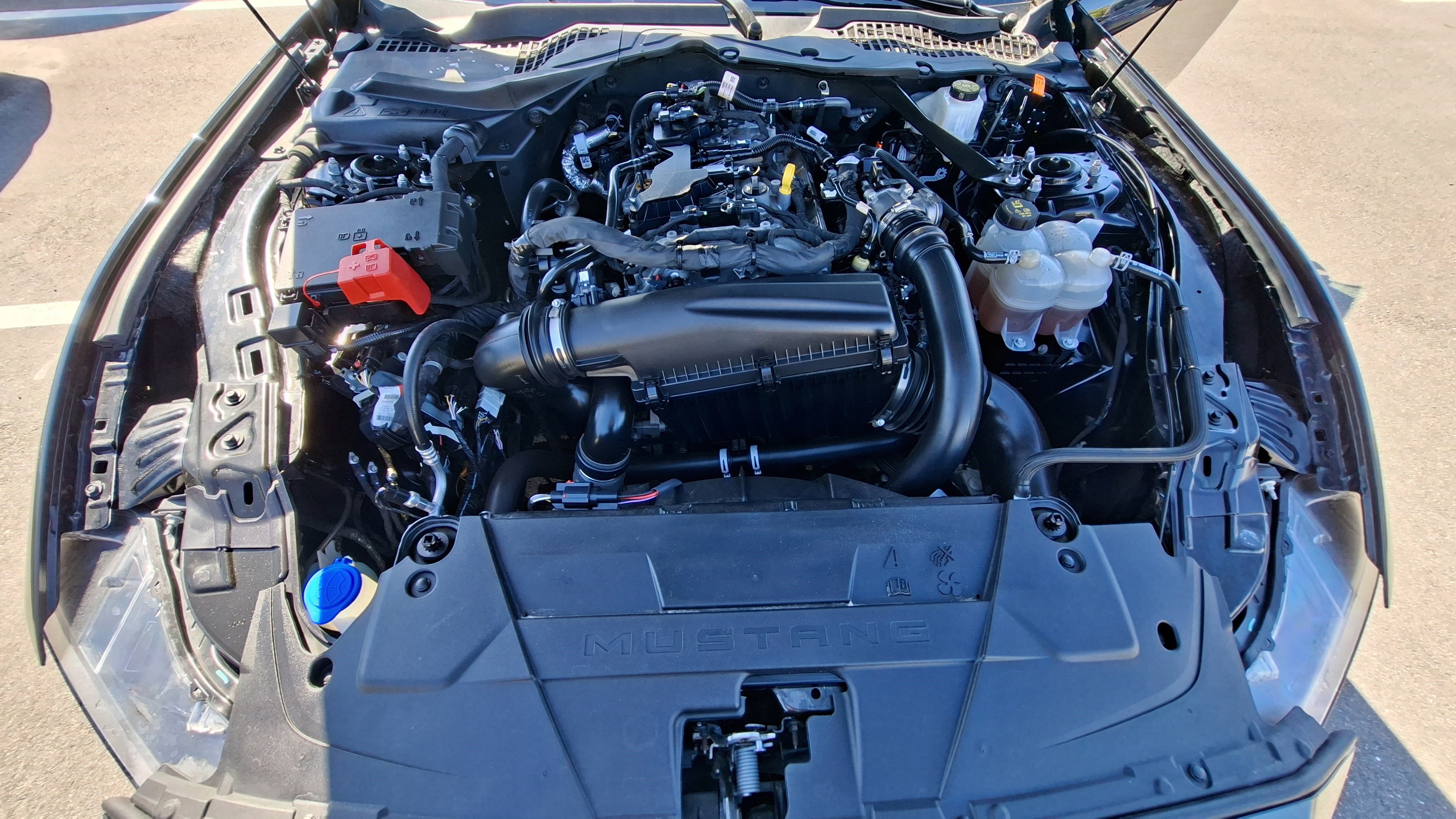 Used 2024 Ford Mustang Premium image 22