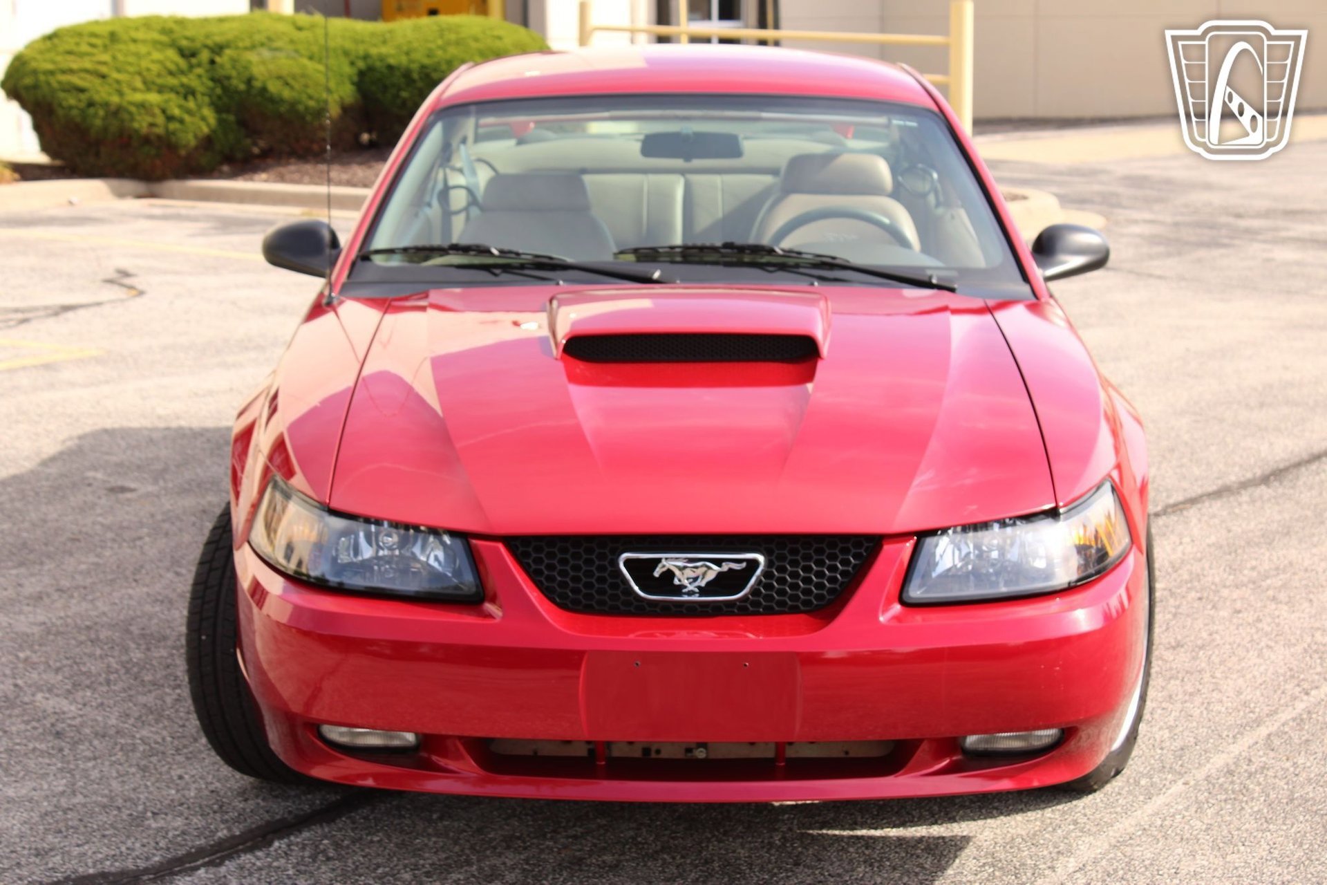 Used 2001 Ford Mustang Bullitt image 23