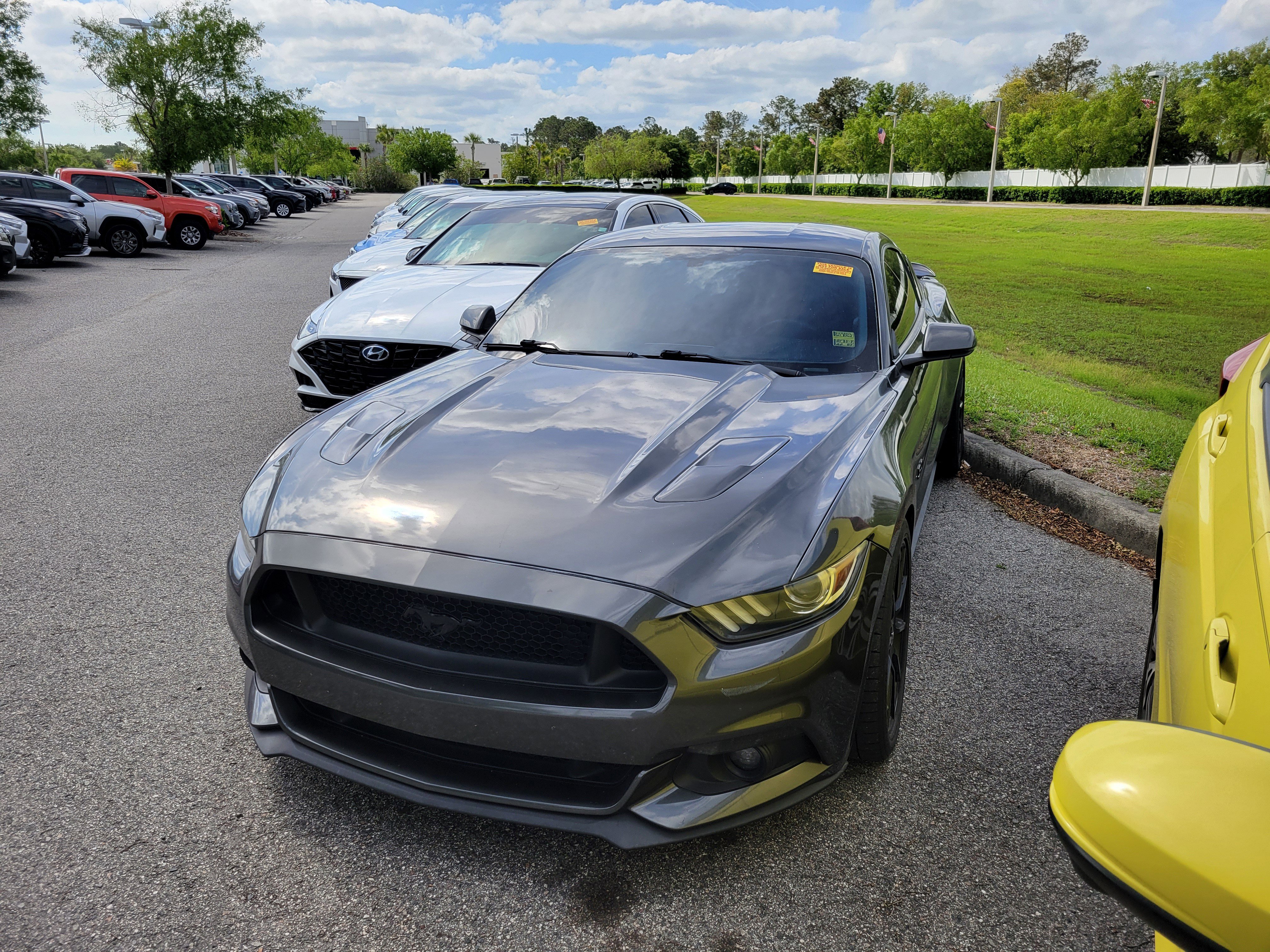 Used 2016 Ford Mustang GT Premium w/ Equipment Group 401A image 1
