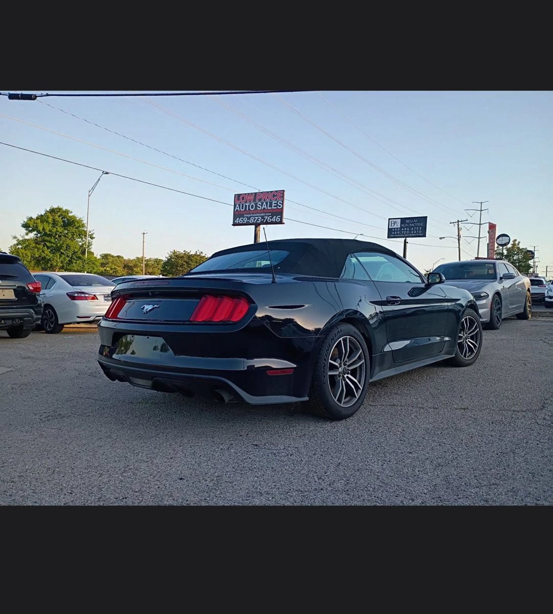 Used 2017 Ford Mustang Premium RWD image 5
