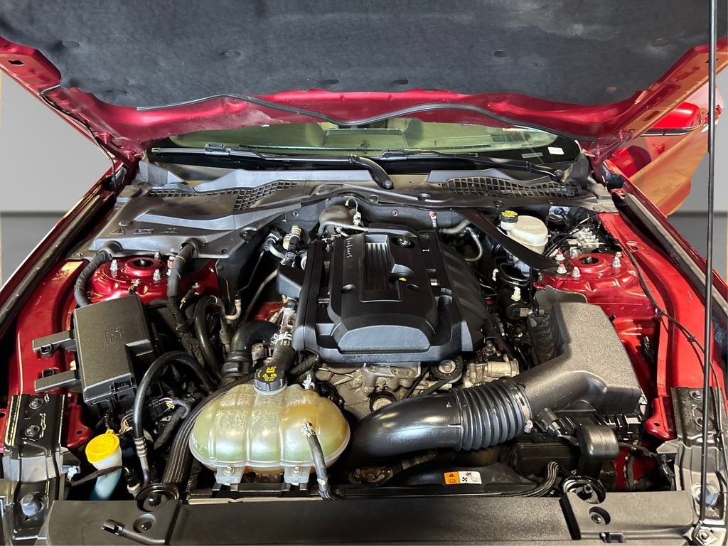 Used 2016 Ford Mustang Premium w/ Ecoboost Performance Package RWD image 16