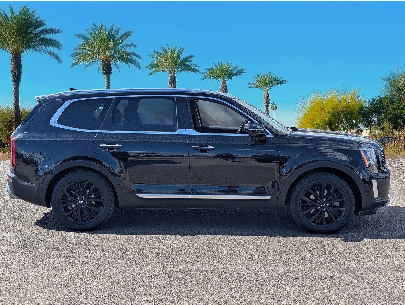 Used 2020 Kia Telluride SX w/ SX Prestige Package image 6