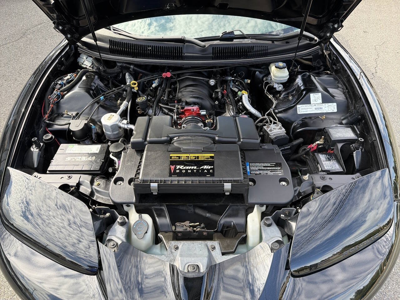 Used 2000 Pontiac Firebird Formula RWD image 16