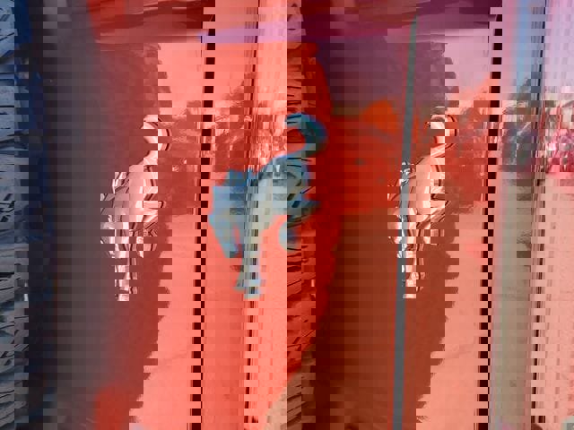 Used 2023 Ford Bronco Badlands image 8