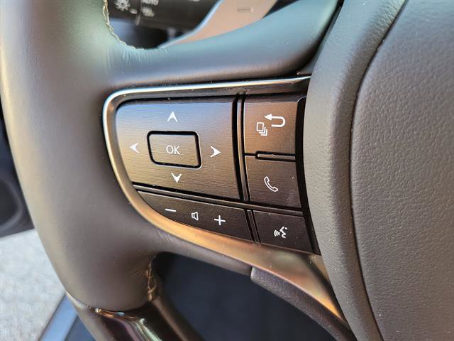 Used 2019 Lexus ES 350 w/ Luxury Package image 41