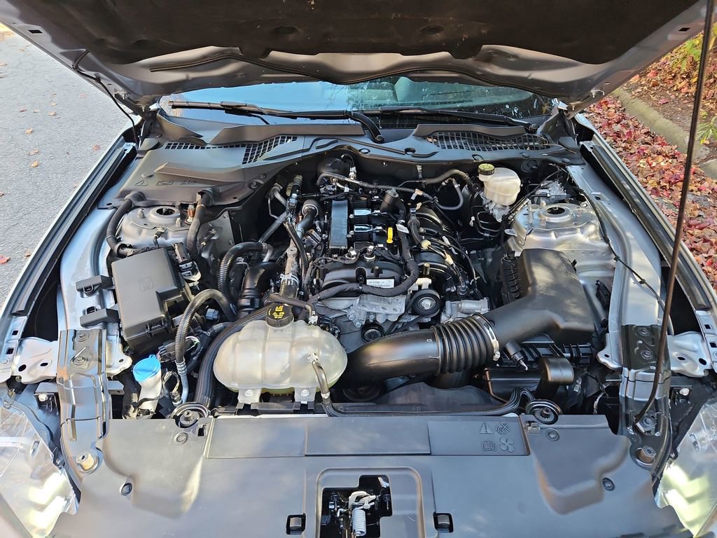 Used 2022 Ford Mustang Coupe w/ Equipment Group 101A image 28