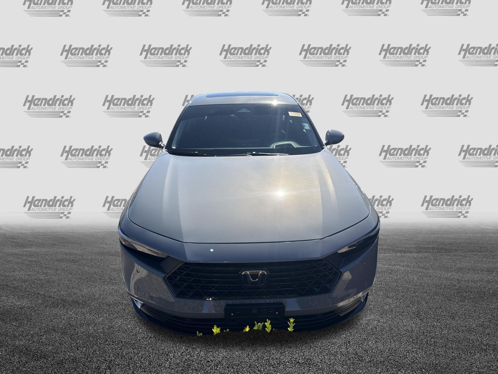 Used 2025 Honda Accord Touring image 3