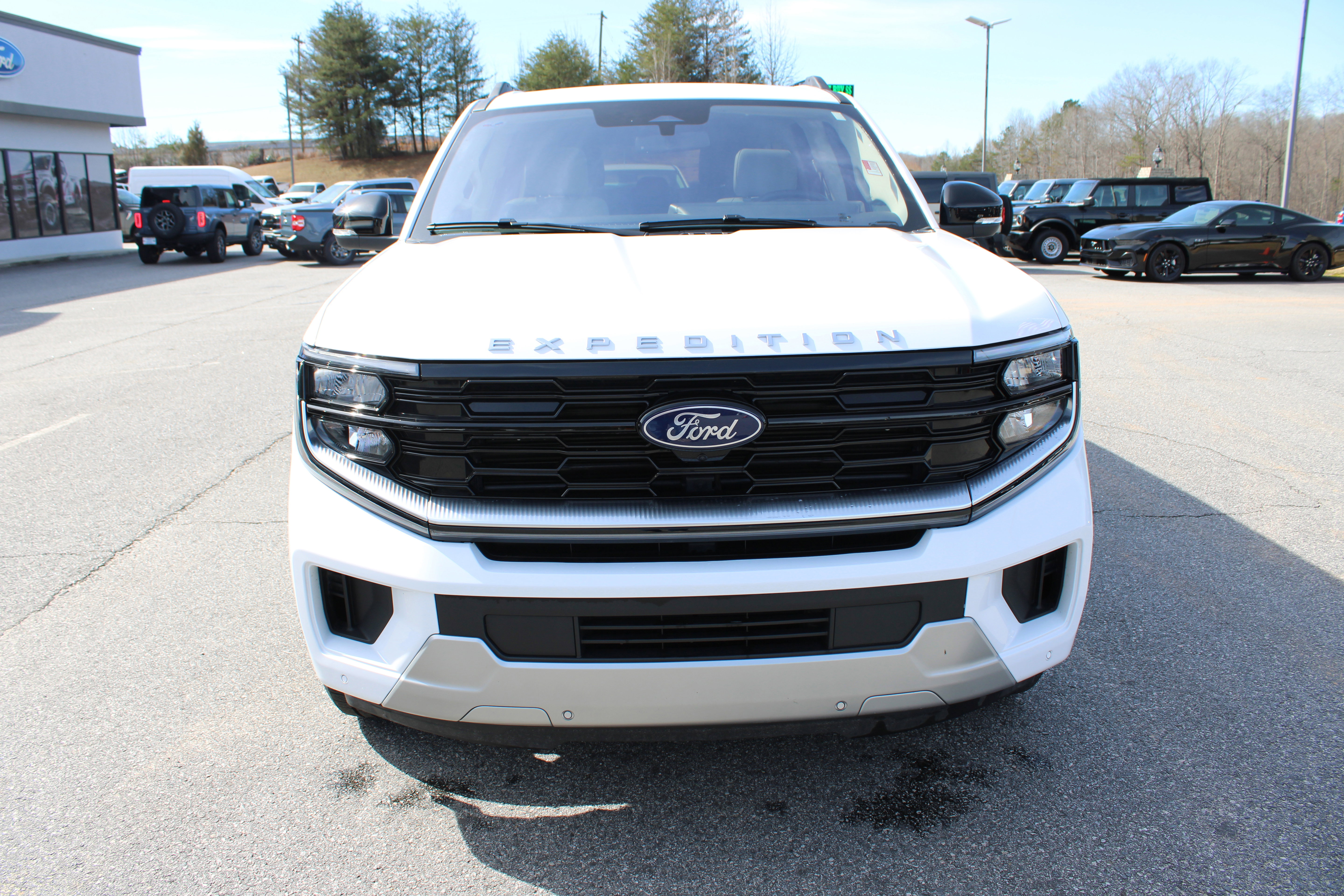 Used 2025 Ford Expedition Max Platinum image 3
