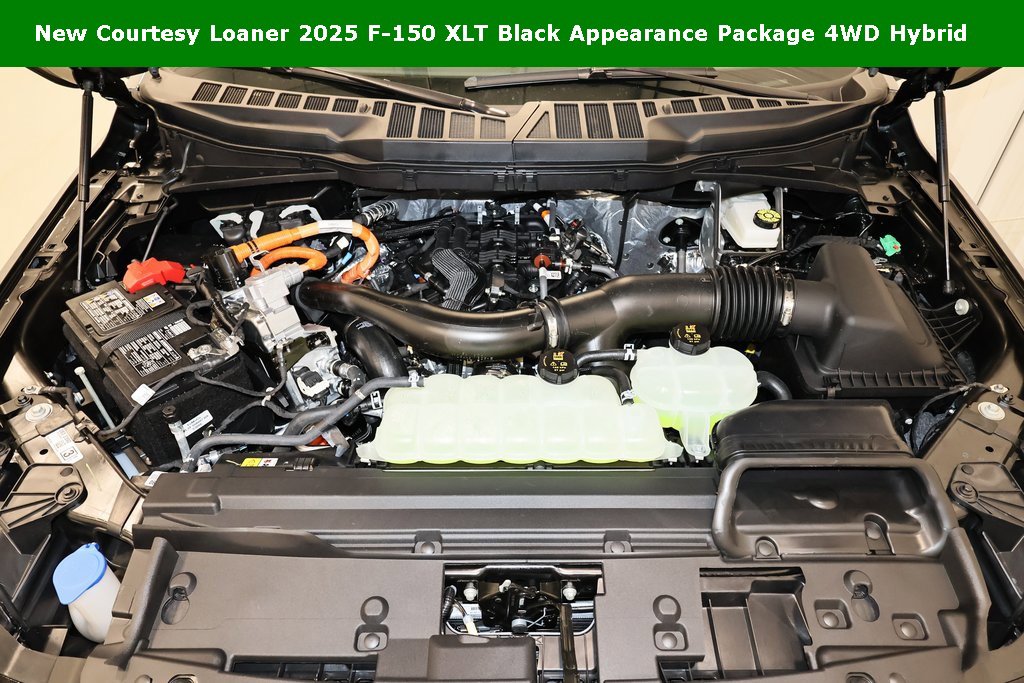 New 2025 Ford F150 XLT w/ Equipment Group 302A MID image 32