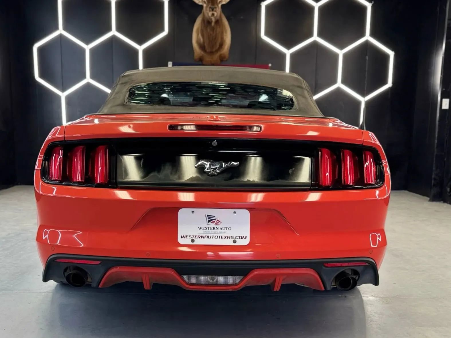 Used 2015 Ford Mustang Premium w/ Equipment Group 201A RWD image 7