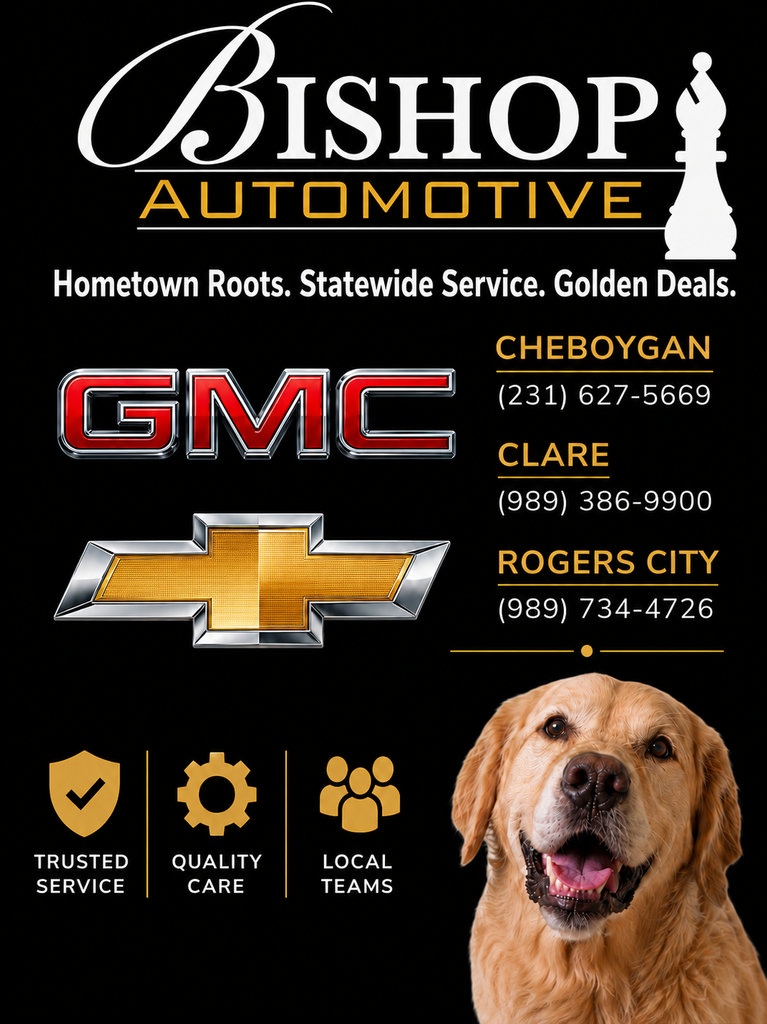 Used 2017 GMC Sierra 1500 SLT AWD/4WD image 4