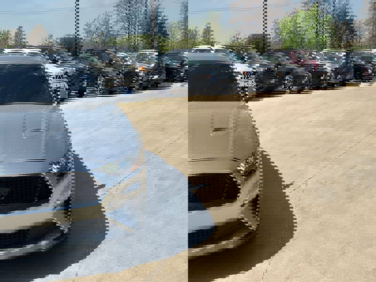 Used 2023 Ford Mustang GT Premium w/ Security Package image 3