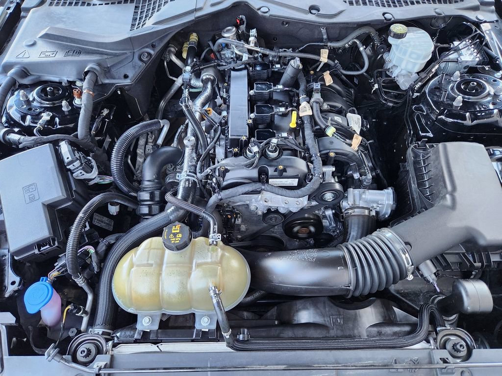 Used 2021 Ford Mustang Coupe RWD image 18