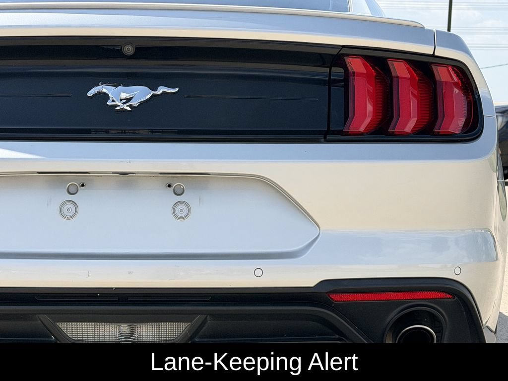 Used 2019 Ford Mustang Premium w/ Equipment Group 201A RWD image 10