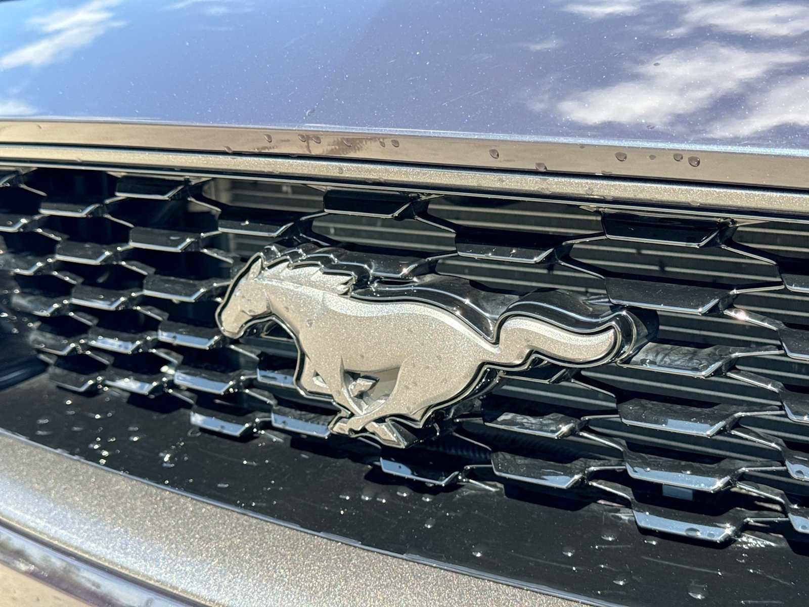 Used 2022 Ford Mustang Mach 1 RWD image 11