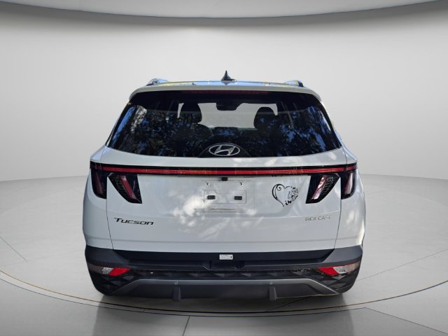Used 2024 Hyundai Tucson Limited FWD image 5