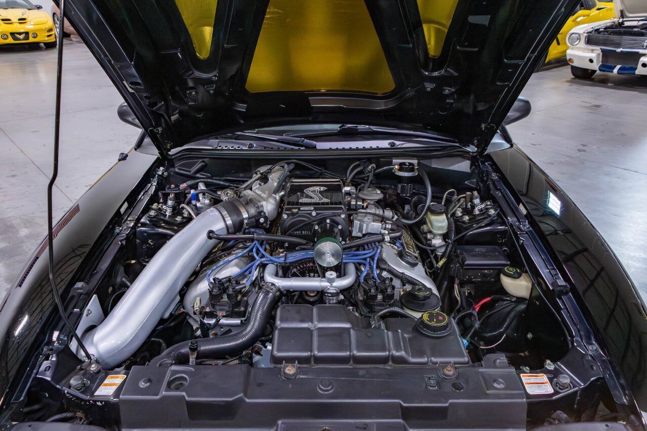 Used 1998 Ford Mustang Cobra RWD image 16