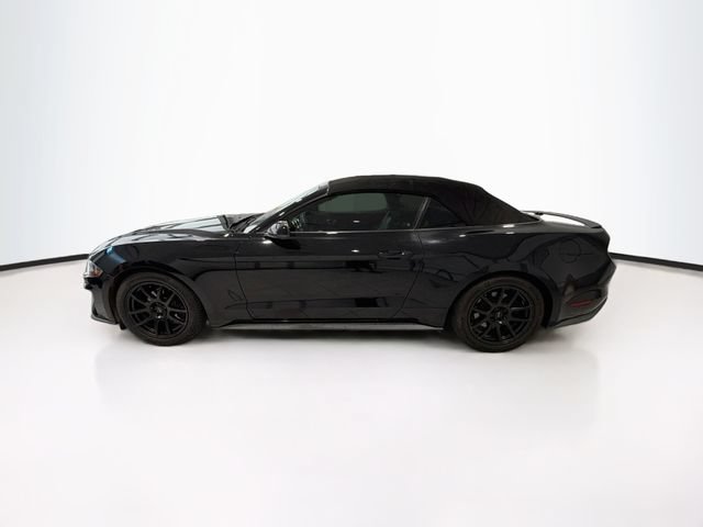 Used 2019 Ford Mustang Premium RWD image 21
