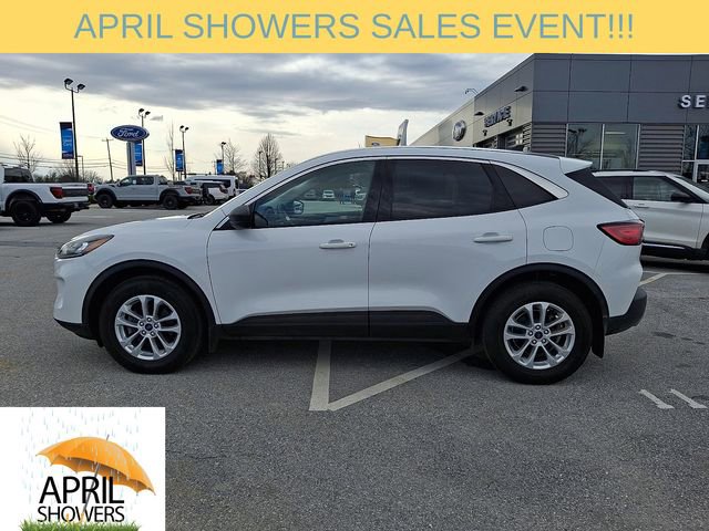 Certified 2022 Ford Escape SE w/ Convenience Package AWD/4WD image 6