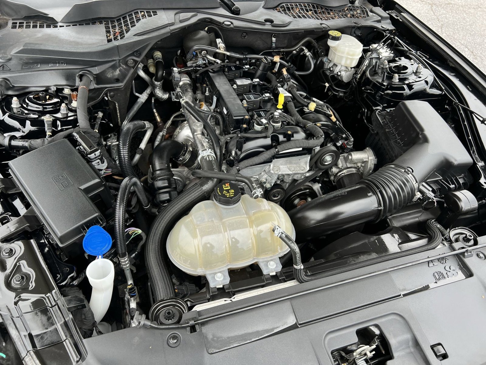 Used 2023 Ford Mustang Premium w/ Equipment Group 201A image 26