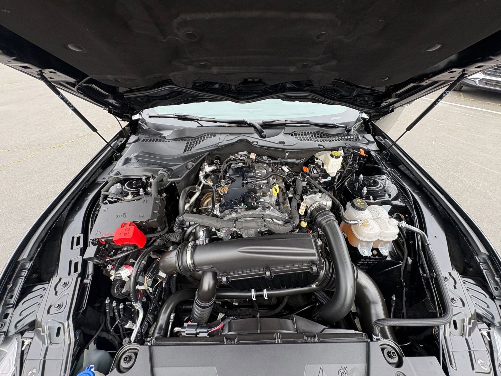 Used 2024 Ford Mustang Premium image 32