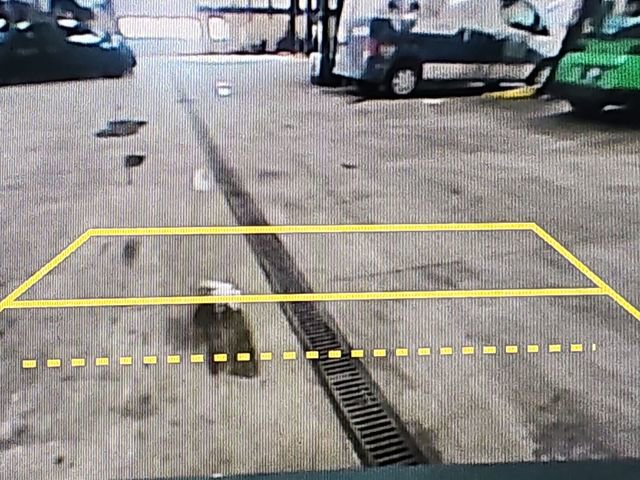 Used 2024 Honda HR-V EX-L image 15