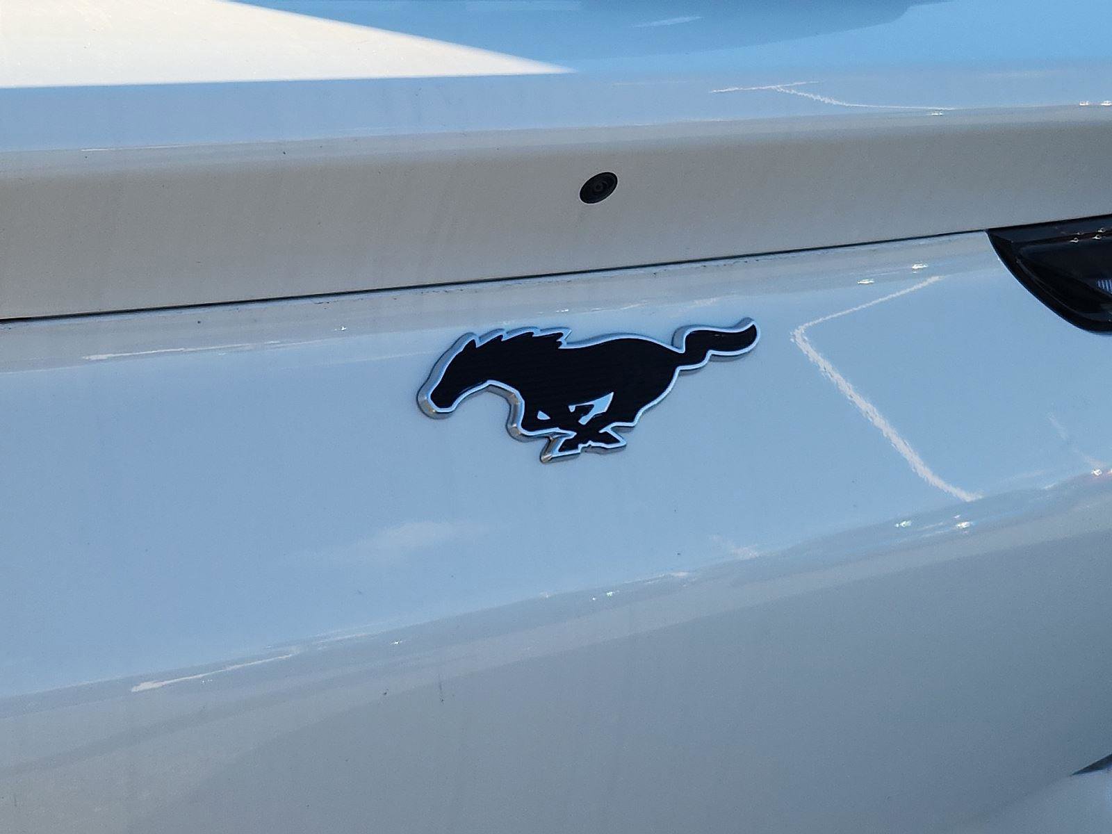 New 2025 Ford Mustang Mach-E Premium w/ Interior Protection Package image 11