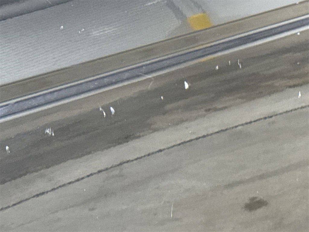 Used 2010 Honda Accord EX image 30