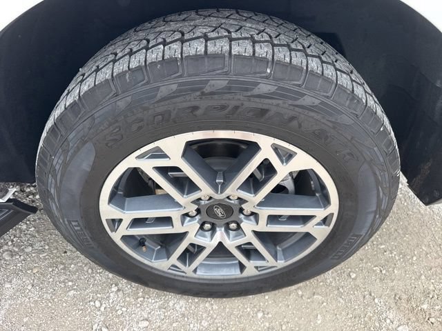 Used 2025 Ford Expedition Active AWD/4WD image 14